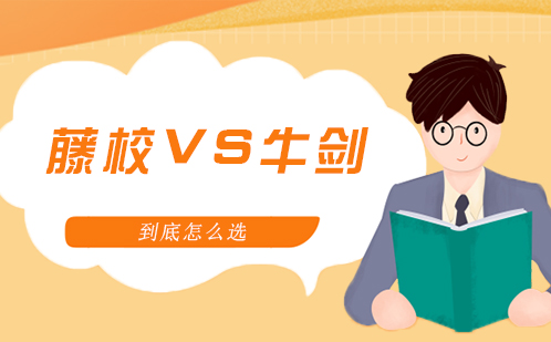 英美学府申请深度解析