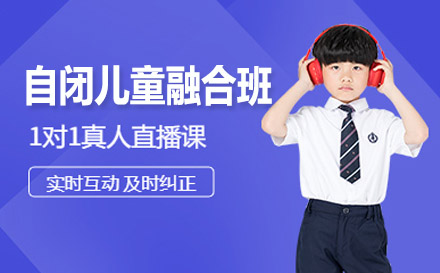 自閉癥兒童融合訓(xùn)練課程