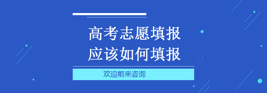 志愿填报决策模型示意图