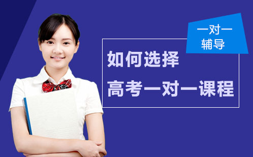 高考冲刺一对一辅导全方位解析