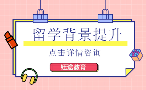 留学背景提升怎么学？