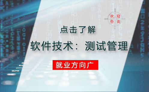 2+3专业学制软件技术专业