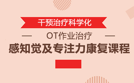 OT作业治疗感知觉及专注力康复课程