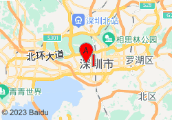 深圳大道至简DSE国际书院福田校区