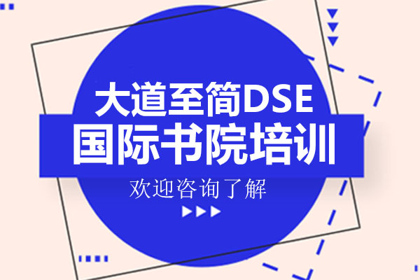 深圳大道至简DSE国际书院培训