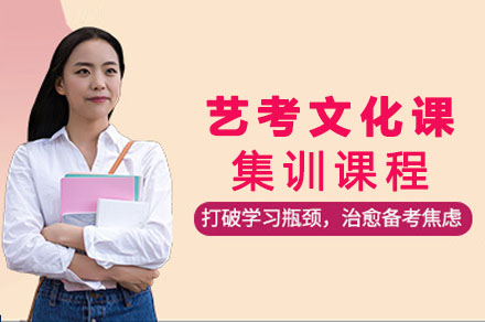 艺考文化课集训课程