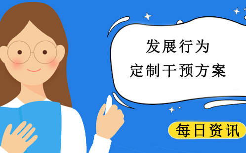 发展行为定制干预深度解析