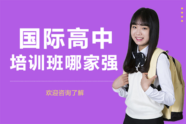 深圳国际高中培优指南深度解析