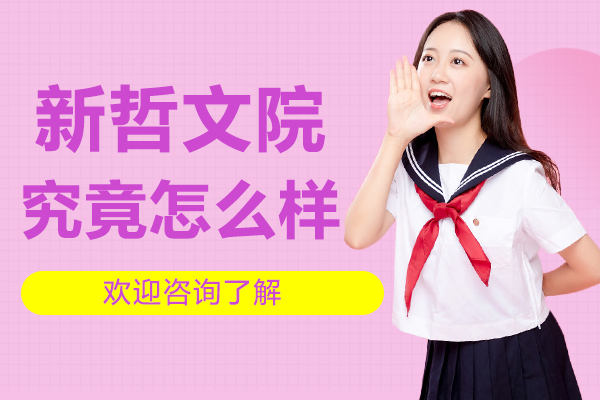 深圳新哲文院办学特色全解析