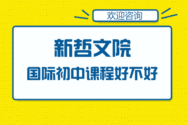 深圳新哲文院的国际初中课程好不好