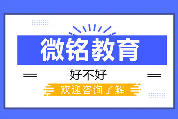 莆田微铭教育课程深度解析