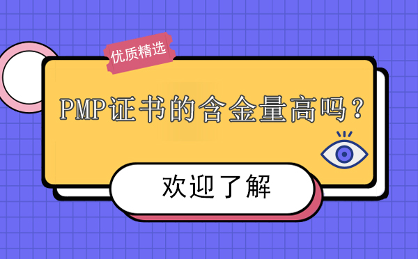 PMP认证核心价值与职业发展深度解析