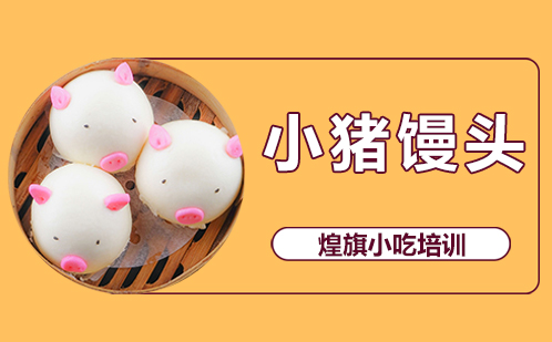 小猪馒头培训