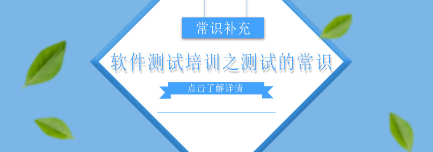 软件测试核心要点解析与职业发展指南