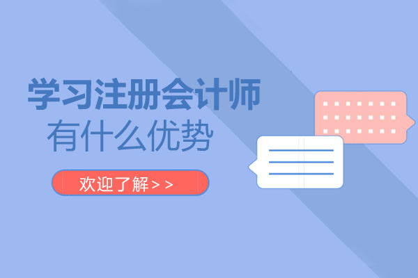 注册会计师核心价值深度解析