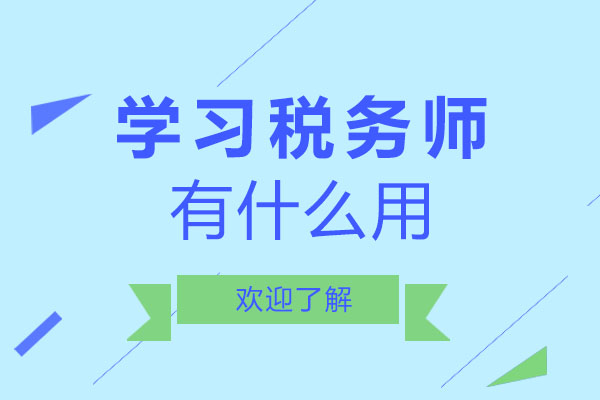 税务会计师职业发展指南