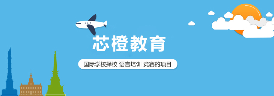 北京芯橙教育簡介