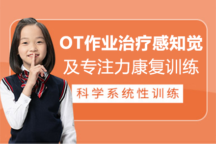 郑州儿童OT作业治疗感知觉及专注力康复训练