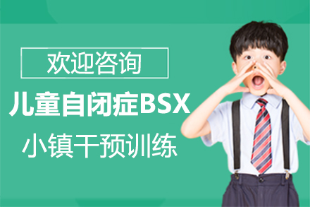 郑州儿童自闭症BSX小镇干预训练
