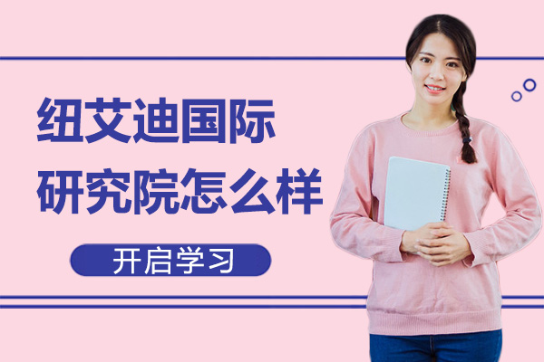 广州纽艾迪国际教育深度解析