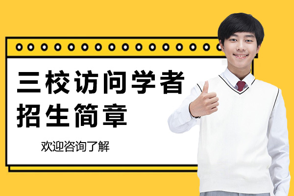 美国三校访问学者项目深度解析
