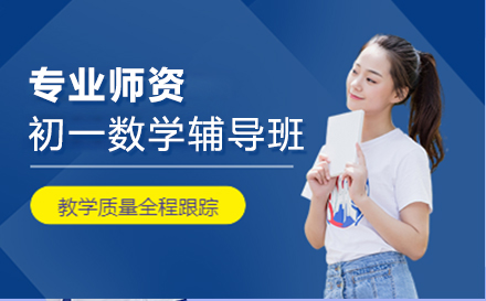 初一数学辅导班