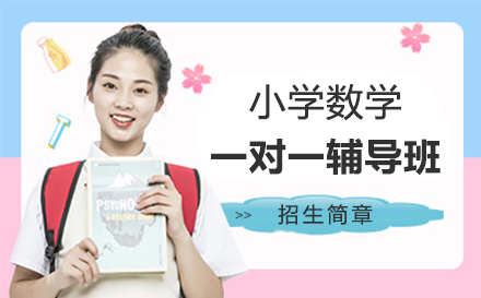 北京小学数学一对一辅导班