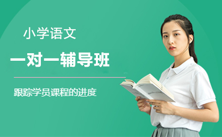 小学语文一对一辅导班
