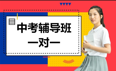 中考一对一辅导班