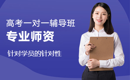 高考一对一辅导班