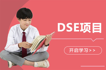 香港DSE项目