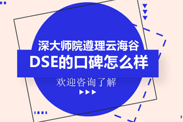 深大师院DSE课程特色解析与教学优势