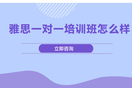 长沙雅思一对一培训班怎么样