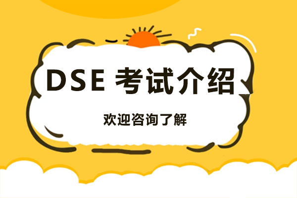 深港教育融合典范：香港DSE考试深度解析