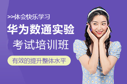 华为数通专家实验考试培训班