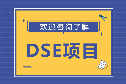 深圳DSE项目