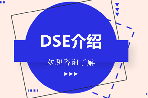 香港DSE国际课程深度解析-深圳鲸帆书院