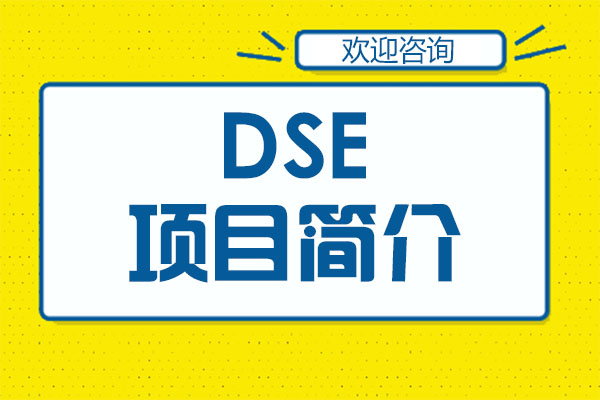 深圳三中DSE国际课程深度解读