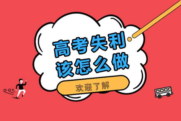 高考后升学路径深度解析