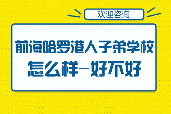 深圳前海哈罗港人子弟学校深度解析
