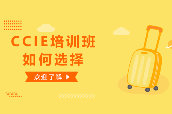 青岛CCIE培训机构筛选指南：教学模式与课程类型深度解析