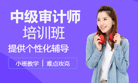 中级审计师培训班