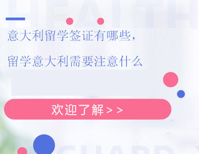 意大利留学签证全解析：类型选择与申请注意事项