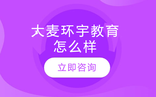 北京大麦环宇教育深度解析