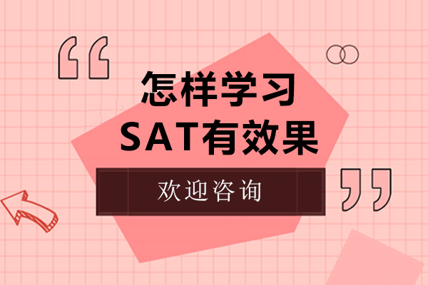 SAT高效提分攻略：进藤教育深度解析三大核心备考策略