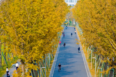 学校相册