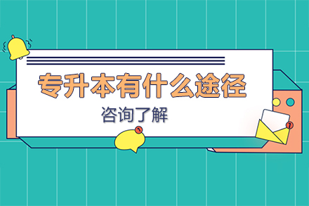 专升本四大升学路径解析