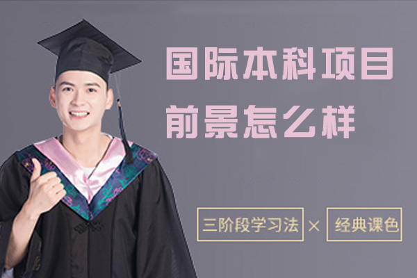 国际本科升学路径深度解析