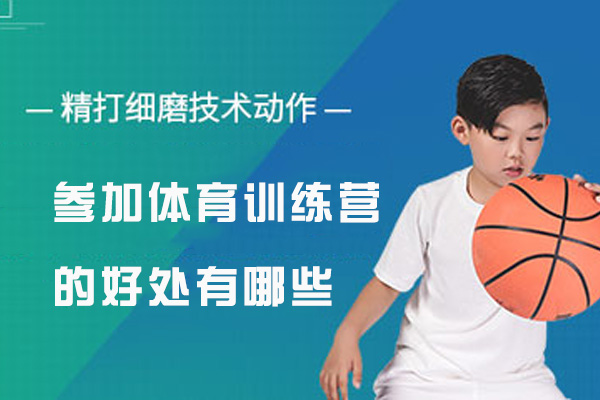 青少年体能提升的多元化路径探索
