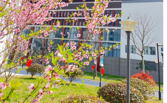 苏州吴江新教育学校